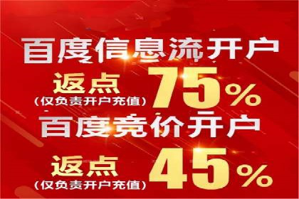 专业竞价SEM托管成功案例解析
