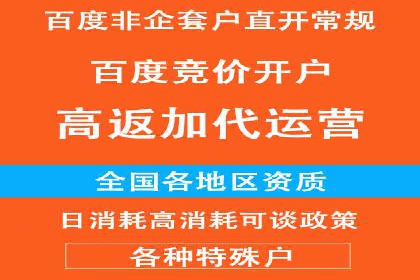 行业领先企业的SEM推广策略揭秘